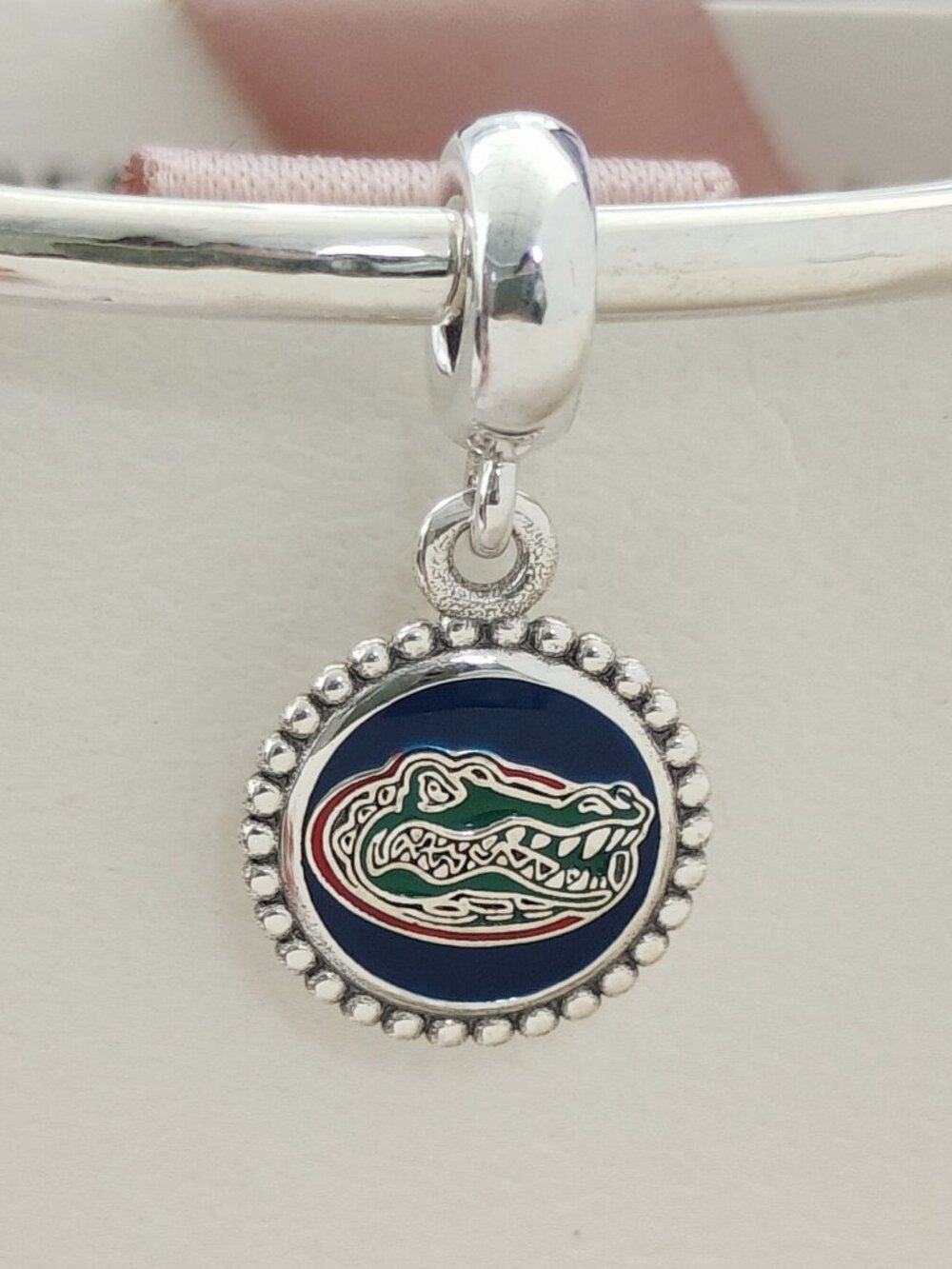 Pandora Florida Gators Travel Dangle Charm S925 Silver Bracelet Pendant with box